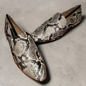 NEW IN BOX Steve Madden Haylie Loafers